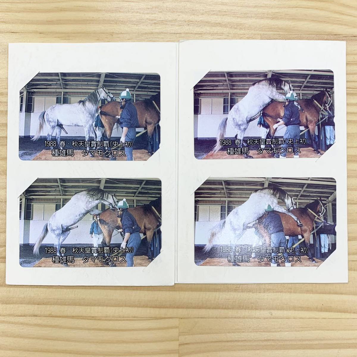 Gunhildr_pics's tweet photo. For context, this was a set of telephone cards "Commemorating consecutive victories at the Tenno Sho" that the ranch produced because Tamamo Cross was amusingly bad at breeding. https://t.co/0sB2o0KkYz