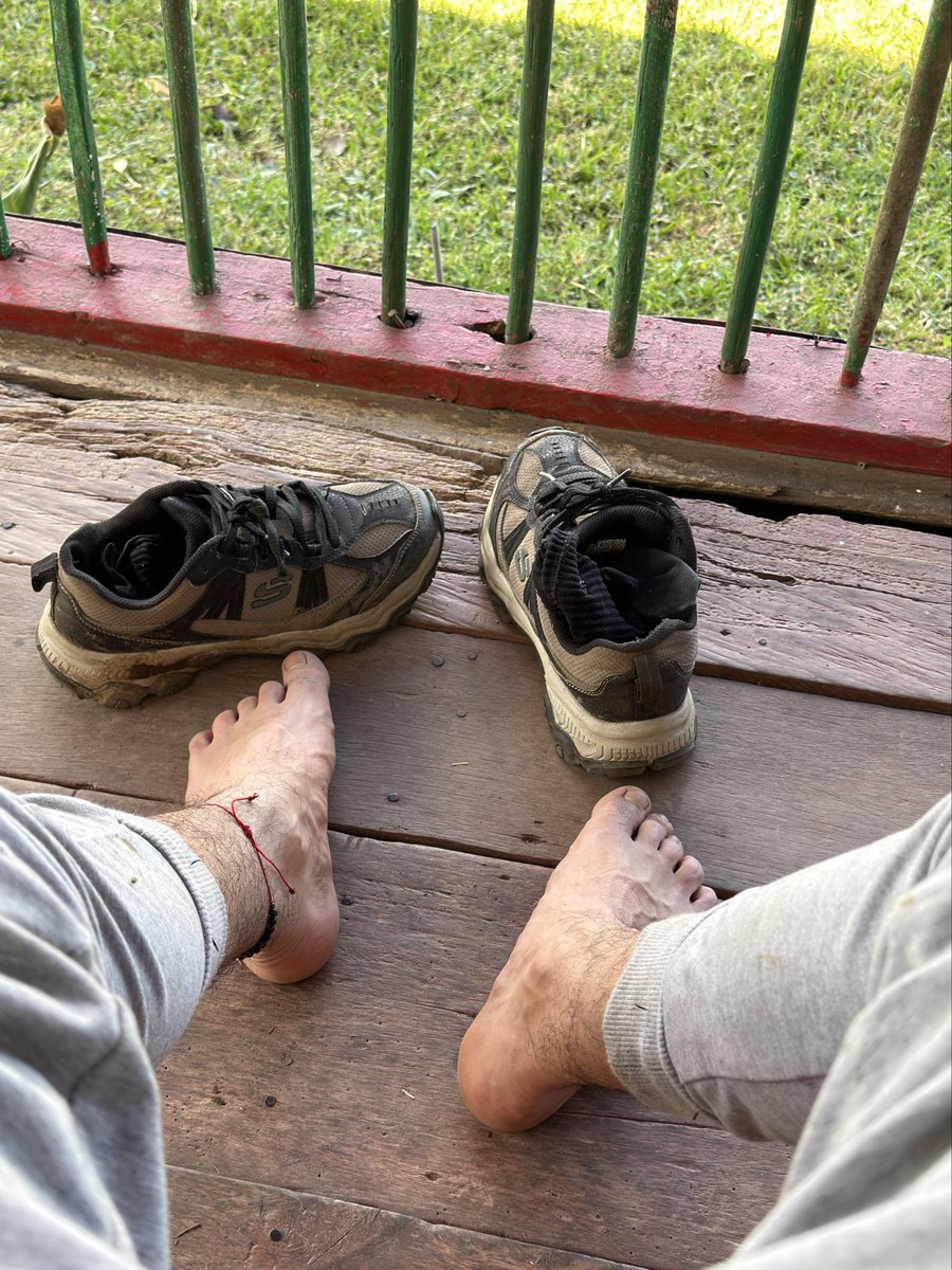 feetmilo's tweet photo. Después de una larga caminada en la finca 🥵🦶🏼 https://t.co/dNHte9CMOO