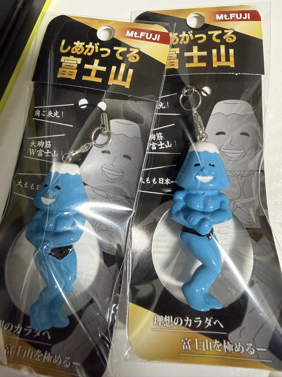 kaideko's tweet photo. ださおさんへ
買い物鞄に入ってました…
いつか…必ず…🗻 https://t.co/bxGQ1fxjLs