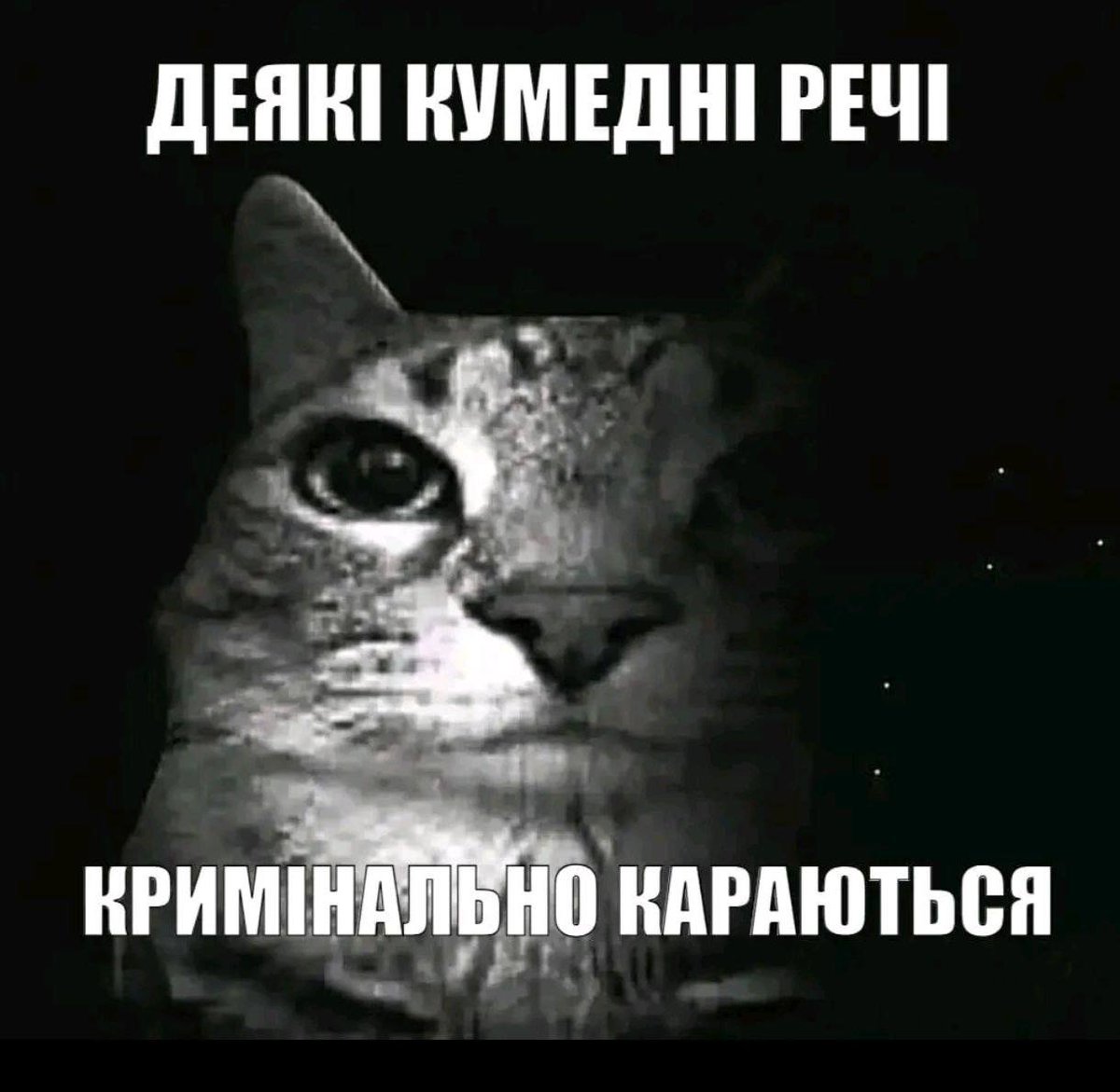 owlwaff's tweet photo. https://t.co/hcmW42mKR4