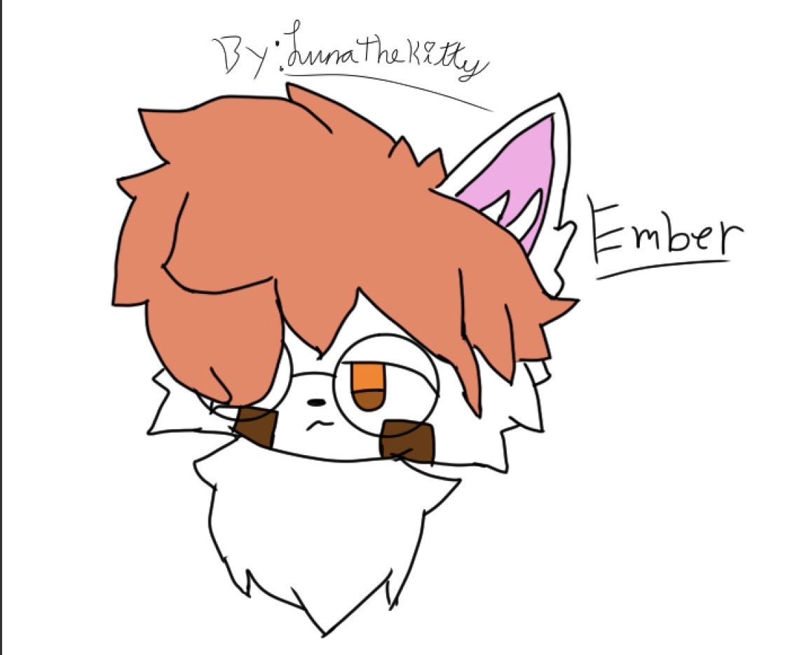 Lunathekitty :3 tweet media