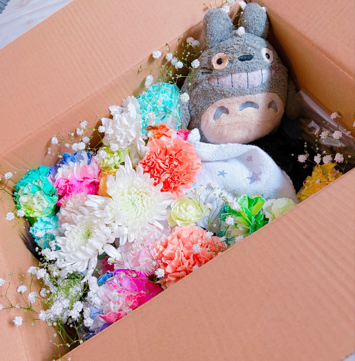 sabo_Chinchilla's tweet photo. 火葬が無事に終わりました。
みなさん💐ありがとうございました。

帰宅後いつもと分からないエサとお水の用意。
サボだけのための部屋を用意していたから、サボがいなくなった静かな部屋に違和感。クーラーを付けなくなる部屋に寂しさしかない。 https://t.co/wS8zVfytyD