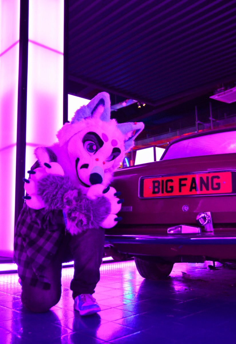 AriehArctic's tweet photo. Big dawg at #nottsfurs https://t.co/b8Y7KoNN92