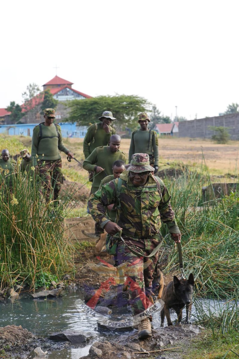 kdfinfo's tweet photo. 1st Canine Regiment has  launched month-long activities to commemorate its 14th Regimental Day setting the stage for a series of events celebrating the Regiment's growth and enduring contribution as KDF’S  dedicated military canine unit.
 See more:https://t.co/XIZFtrOuO3 https://t.co/VXjJFgYO9K