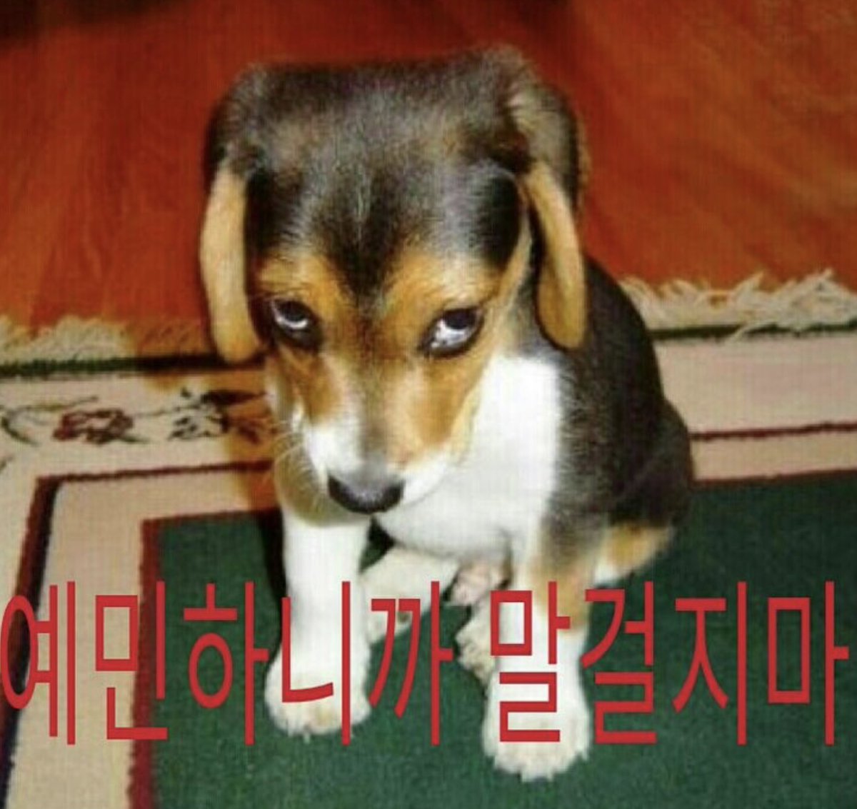 jutingstar9999's tweet photo. 은근 주변에 꼭 있는 경계성 성격장애 특징들
.
1. 감정 기복이 심함
>이중인격마냥 기분이 갑자기 확 확 바뀜

2. 버림받을까 봐 너무 불안
>사소한 말에도 불안하고 두려움

3. 극단적인 인간관계
>좋아하다가도 한순간에 맘식, 정떨, 미워질 수 있음

4. 자기 이미지가 애매함
>나는 어떤 사람인지 헷갈릴 때가 많음 나조차도 모르겠음

5. 충동적인 행동
>종종 감정을 못 참고 충동적으로 행동

6. 공허함을 자주 느낌
>이유 없이 텅 빈 느낌이 들어서 공허함

7. 분노 조절 장애
>화가 나면 제어하기 어려움

8. 스트레스에 약함
>작은 스트레스에도 무너질 때가 있음

9. 자/해나 자/살 등 생각이 들 때가 있음
>감정이 너무 힘들 때 그런 충동이 생길 수 있음

10. 상대 반응에 너무 예민함
상대의 말, 표정, 행동에 많이 흔들림
.
.
경계성 성격장애가 있으면 나올 수도 있다는 특징이라는데..
의외로 누구나 몇 개쯤은 해당될 수 있다네여
일상생활이 힘들 정도면 전문가와 상담 해보세요ㅜ