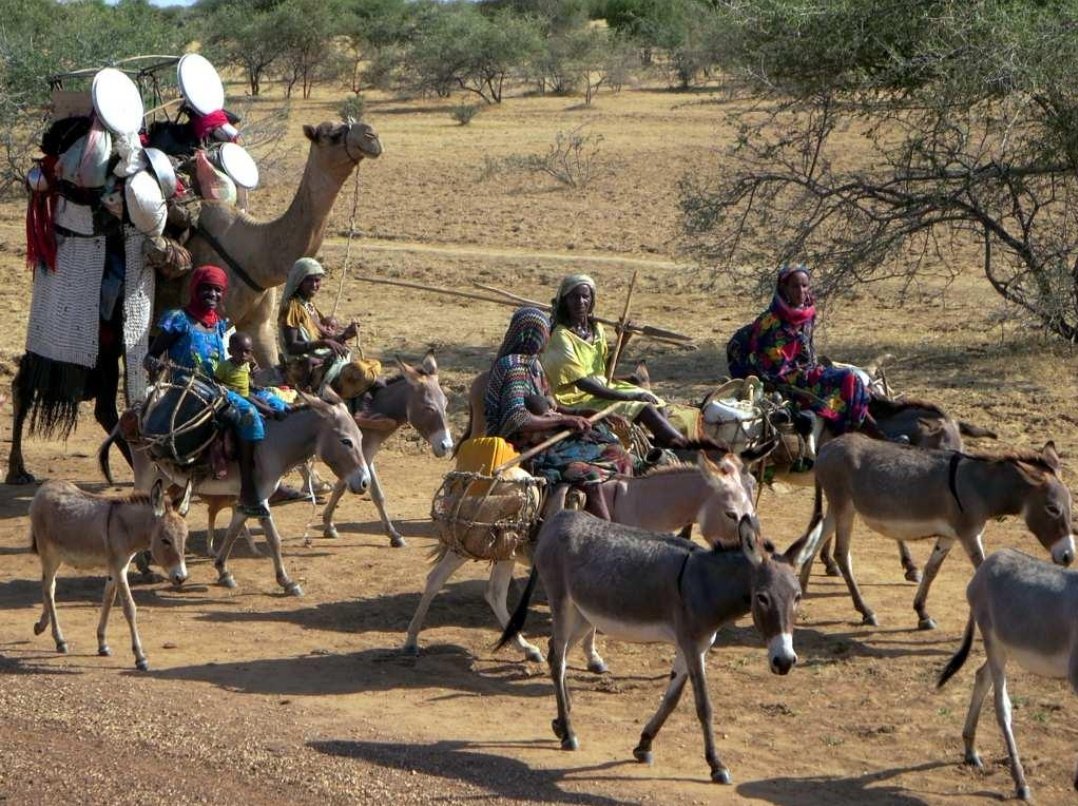 SalemIdrisrriy's tweet photo. *ما لا تعرفه عن تشاد* 🇹🇩

في تشاد… لسه في ناس عايشة حياة بدوية 100% 🐪🏜️

بيتنقلوا بالجمال، وعايشين على الرعي، بنفس أسلوب أجدادهم من مئات السنين

كأن الزمن هناك واقف… والحياة أبسط بكتير 🇹🇩🤍🤍

#تشاد #ثقافات 
#أفريقيا https://t.co/eSSKmTdtzE