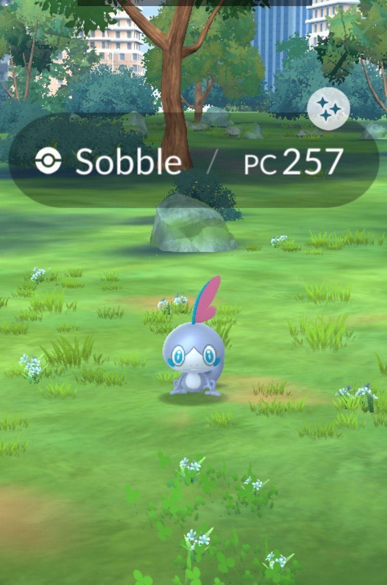 erthom1604's tweet photo. Dia Comunitário julho

201 capturas
1401 doces
144 doces GG
4 shiny ✨ 
7 fundos raros
1 XXL
CP 896
64.644 poeira https://t.co/veWLg8MXV4