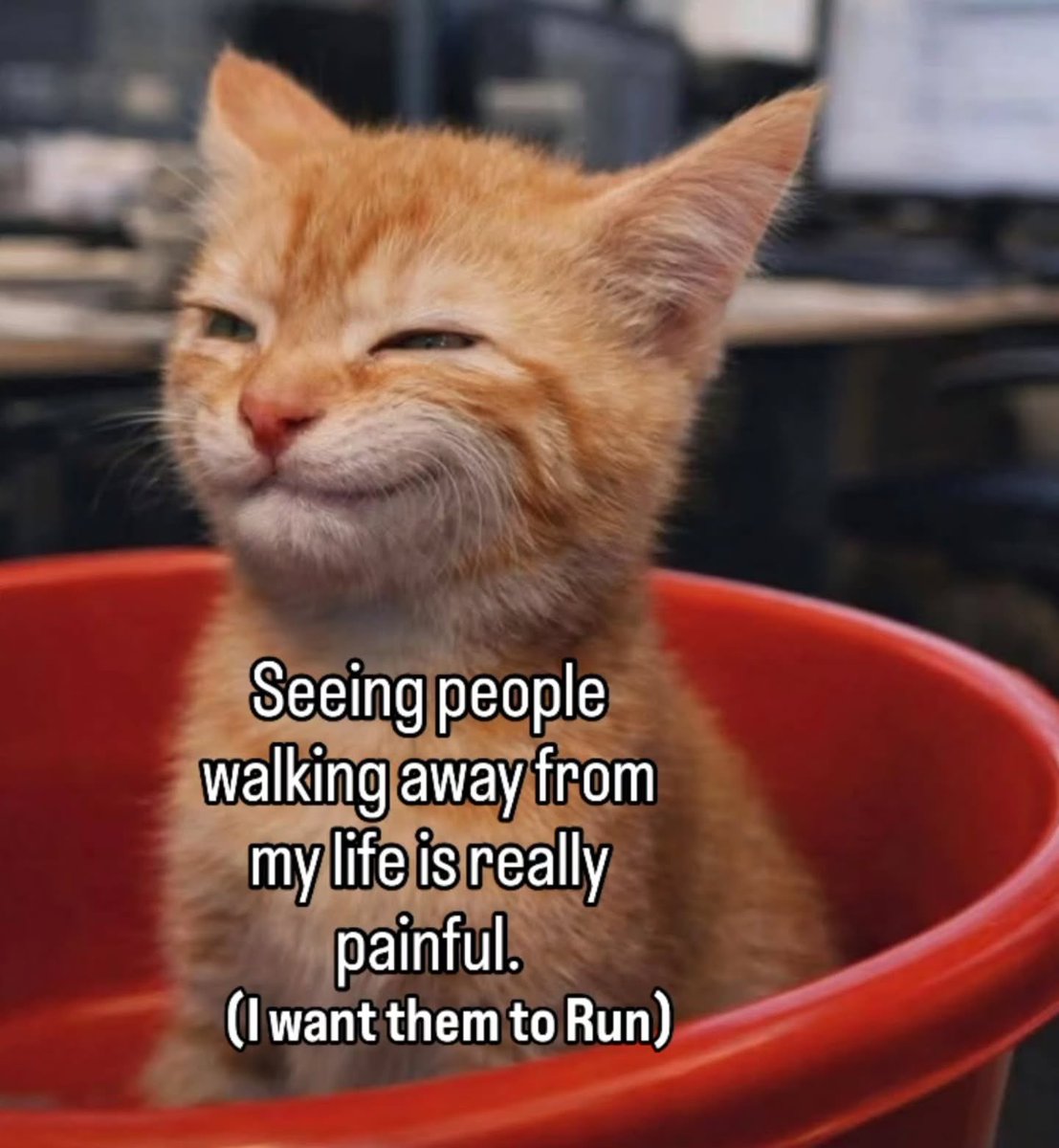 literallymecats's tweet photo. https://t.co/QJXUCeFNvx