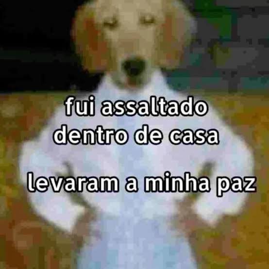quria_star's tweet photo. @jvc578_ Pqp que nojeira https://t.co/j9wpNo4F1S