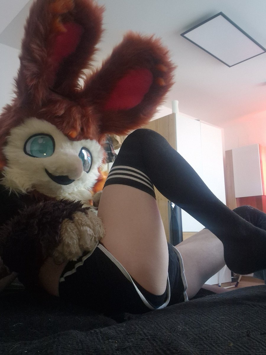 Cakethemanta's tweet photo. Woop woop
#Furry #furryfemboy #femboy https://t.co/WIZytYw0HF