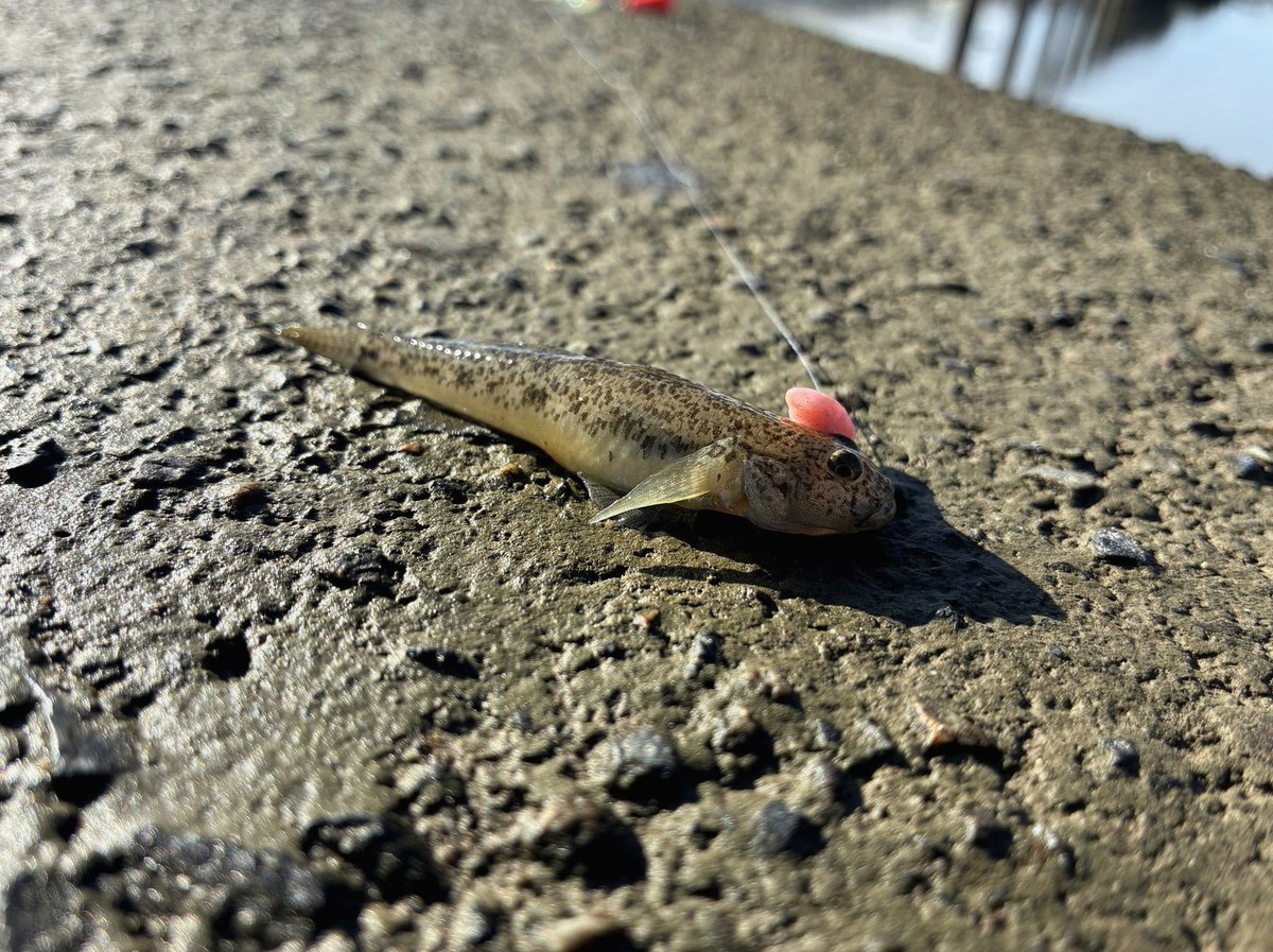 LbcVictorine's tweet photo. それもだし恋愛しない自由もある
「ペルソナってギャルゲなんでしょ」と言われるのも心外である https://t.co/0Hh3sEIgEU