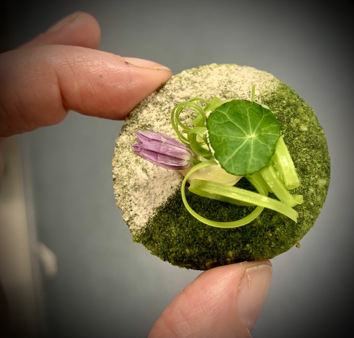 CateDvineWriter's tweet photo. "I've seen the bold new direction Andy Murray's @CromlixHotel is taking in its bid to smash aMichelin Star": where exec head chef James Mearing cooks for me and I chat w/Gourmet Garden head Kathy Beckett.  My excl https://t.co/ZtdRP6jcDr (news blog) https://t.co/7k7CDd1G2S https://t.co/f8dl51jx3V