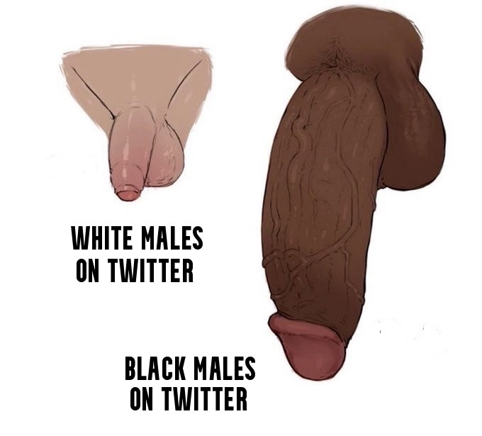 BBCadd1ctz's tweet photo. Is this why youre so insecure whiteboi? #bbc #bnwo https://t.co/x6qq4zKkfE