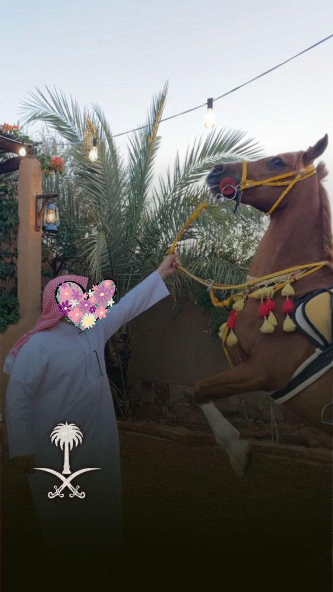 hind55i's tweet photo. 🤍والله ان ابرك الجيّات حزّة مجيك🤍
#عصرية القاعد https://t.co/UyvUpEru5X