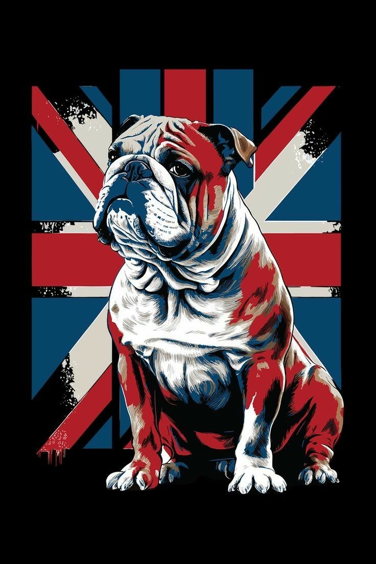 Hawkesbay69's tweet photo. ✨️British Patriots ✨️
🇬🇧🇬🇧🇬🇧🇬🇧🇬🇧🇬🇧🇬🇧🇬🇧

@RestoreCornwall 

@mike_spiller 

@BendyStackpipe 

@Linzs2209 

@moridin_2 

🇬🇧🇬🇧🇬🇧🇬🇧🇬🇧🇬🇧🇬🇧🇬🇧 https://t.co/JzMoE3Kh82