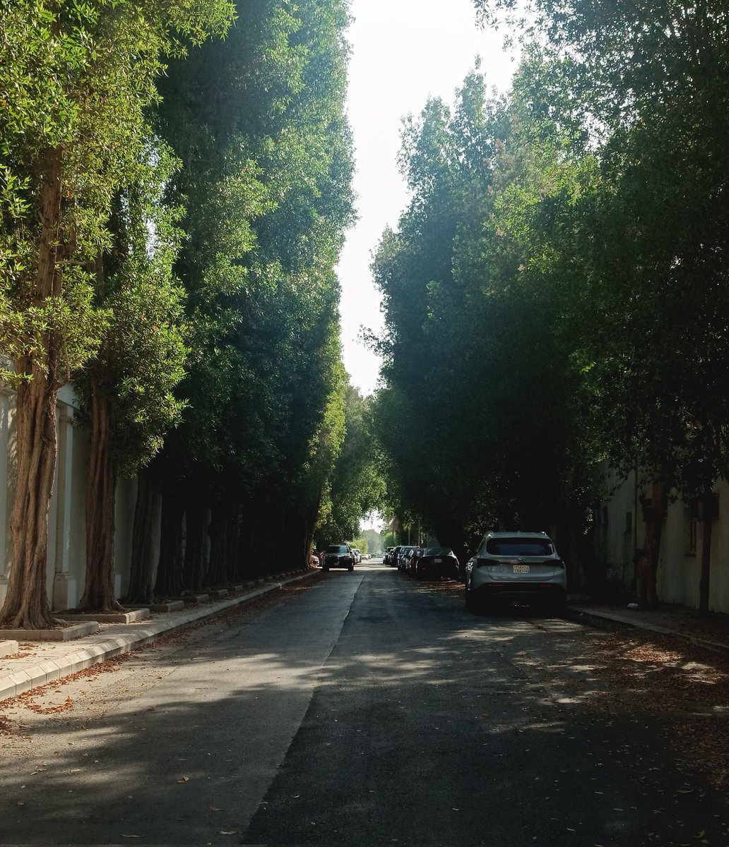 Am1l5Q's tweet photo. فجأة وجدت نفسي في هذا الطريق الجميل https://t.co/W2IVlhTPkZ