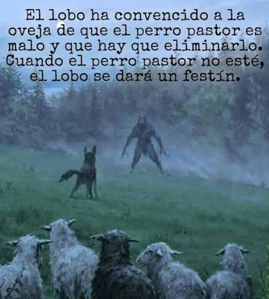 hecc78's tweet photo. @sebalacunza votaron a su propio verdugo... https://t.co/3L65a22OhF