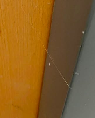 ProPolizeiOE's tweet photo. Hinweis der Polizei Oberösterreich: Warnung vor Wohnungseinbrüchen. Ein unscheinbarer Klebefaden an der Wohnungstür kann ein Hinweis darauf sein, dass Einbrecher eure Abwesenheit überprüfen. ❗ Kontrolliert eure Wohnungstür aufmerksam. Entdeckt ihr einen verdächtigen Klebefaden oder andere Manipulationen, verständigt bitte sofort die Polizei über den Notruf 133 oder die nächste Polizeidienststelle. Jeder Hinweis kann helfen, weitere Einbrüche zu verhindern.