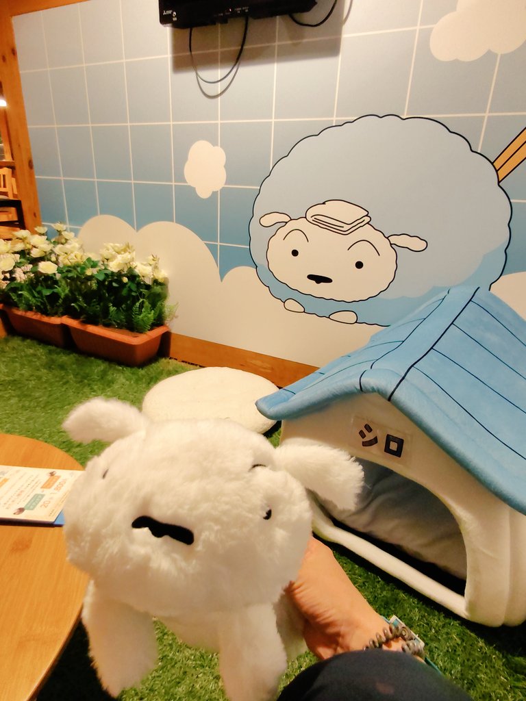 Tanaka4008's tweet photo. 特にしんちゃん家の庭を再現してシロと犬小屋あるの堪らん…
げ、現実世界にシロが実在してる…
可愛すぎるやろーーー♡♡
#おふろcafe
#utatane
#クレヨンしんちゃん https://t.co/k92X0c63fe