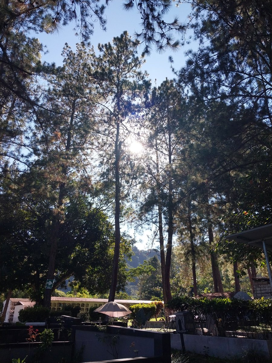 oteushu's tweet photo. #SanRamón #Chanchamayo #Perú
#EstaEsMiTierra #SelvaCentralDelPerú #PorLosCaminosDelPerú  #CaminandoPorSanRamón https://t.co/9agQf9Qbs7