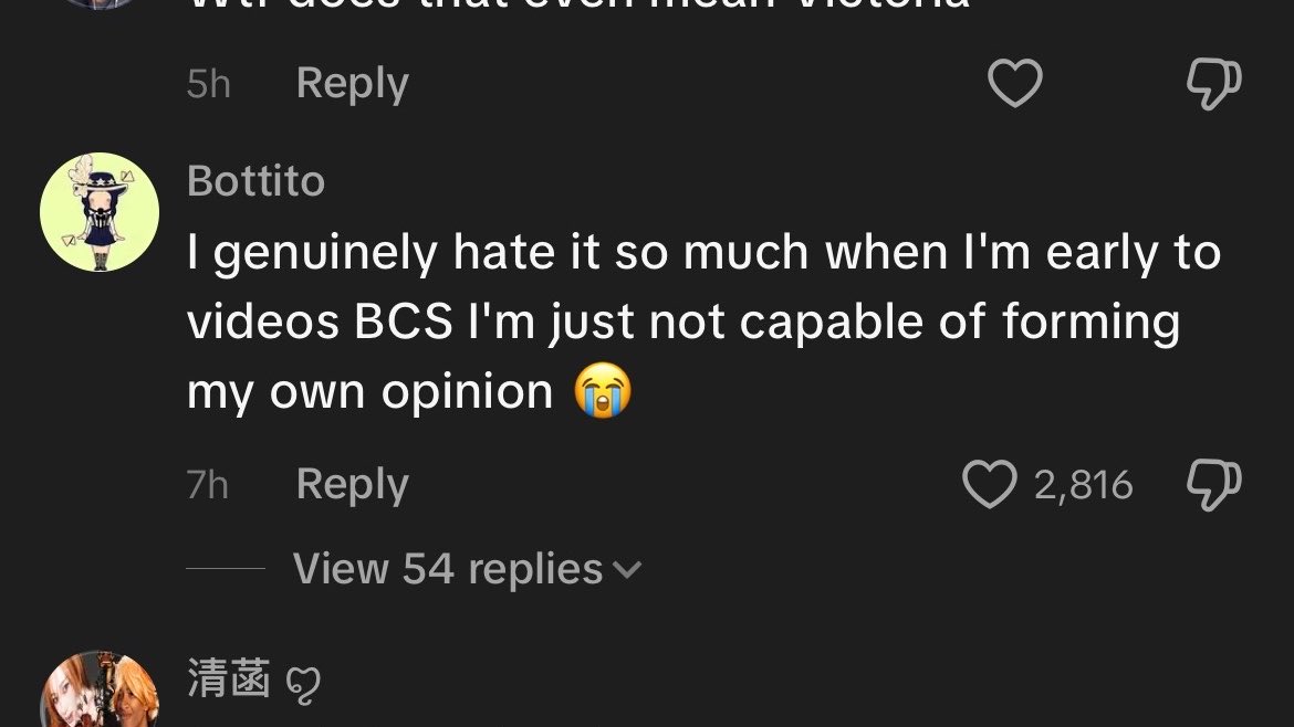 jordynceIeste's tweet photo. this just confirmed all the suspicions i have about tiktok commenters https://t.co/NOlNJFbhM4