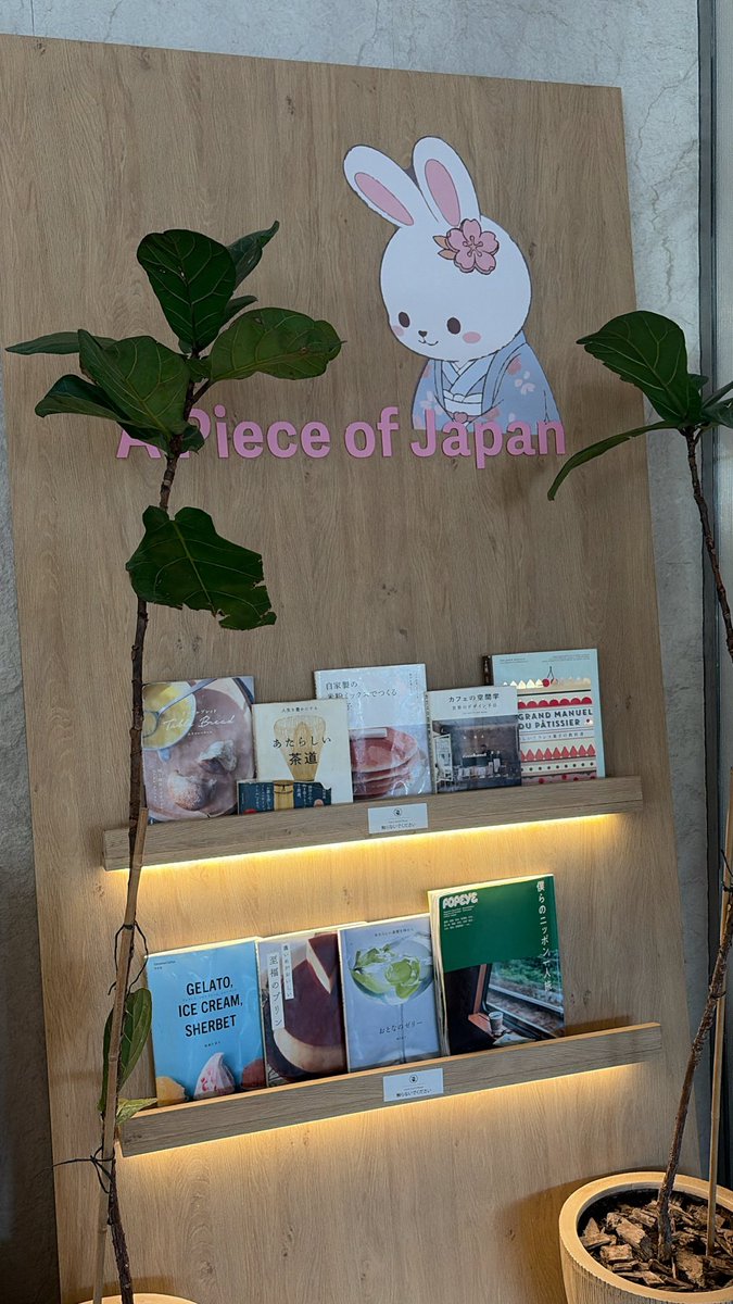 lailaj22's tweet photo. A piece of Japan okawa cafe🤍🍥🌸 https://t.co/xAgeFrWM9j
