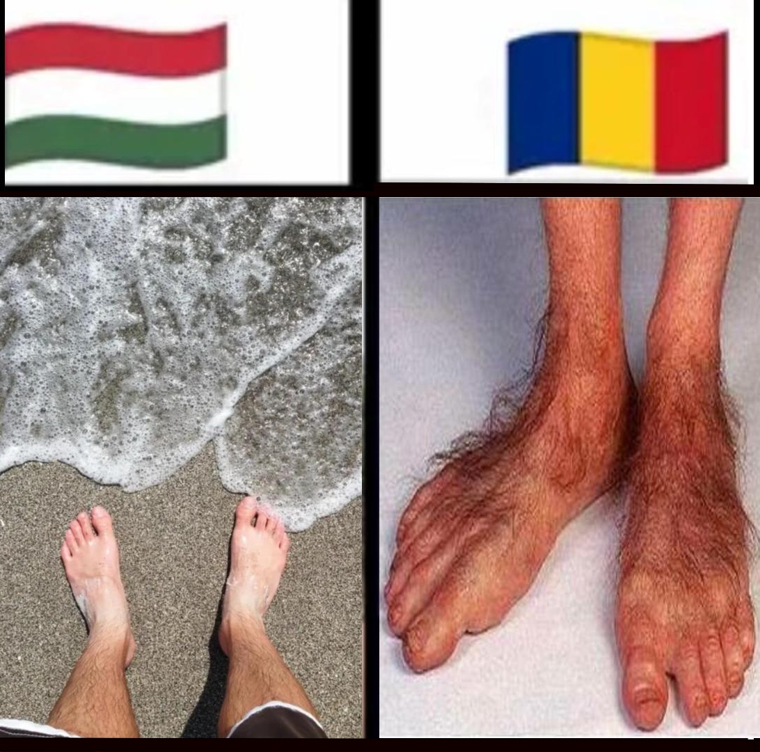 Szibériai Rin Tin Tin 🇭🇺🇷🇺 tweet media