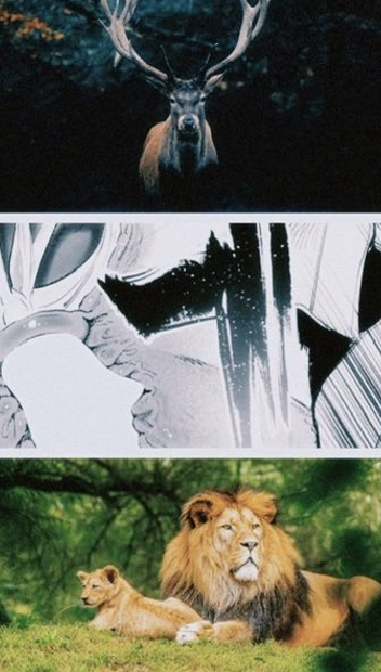 beyfendi44's tweet photo. 後先考えなかった結果SFW
(1/7)SFW https://t.co/rLwWhHVbCn