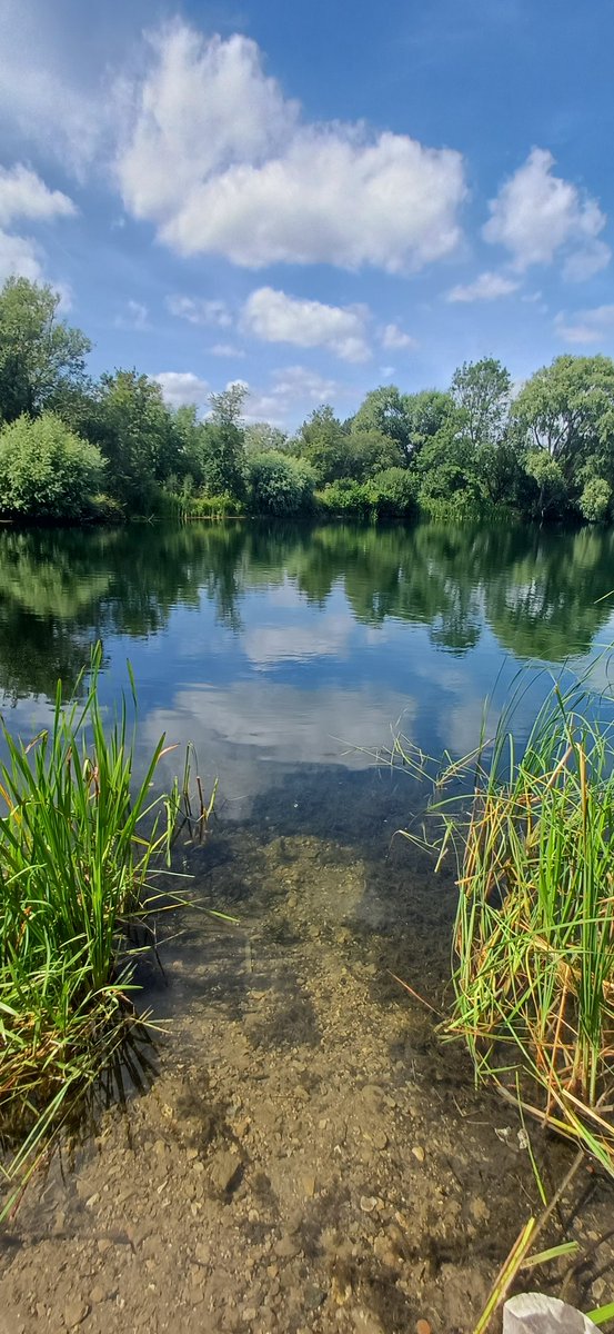MarcHeathym007's tweet photo. Did a private Dragonfly tour today at New Hythe for 2 clients. Highlights included 30+ Lesser Emperor, 6+ Norfolk Hawker, 1 Beautiful Demoiselle and a good supporting cast of odonata. @BDSdragonflies #KentDragonflies #DragonflyWeek https://t.co/1hAbZxw1ap