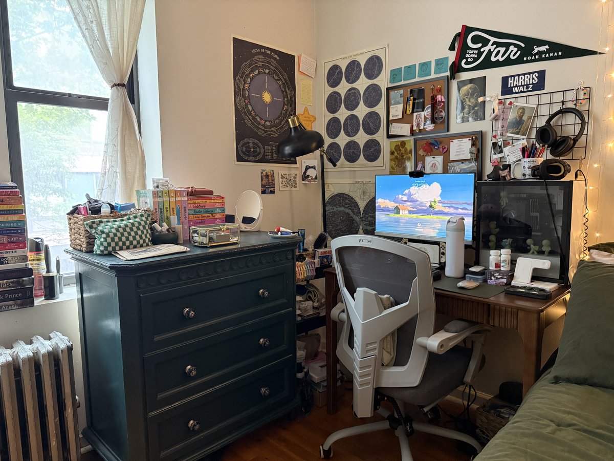imsalsay's tweet photo. bedroom of a chronically ill 25 year old woman

(who watches a lot of movies and reads because all my money goes to nyc rent) https://t.co/MYqi9KChr0
