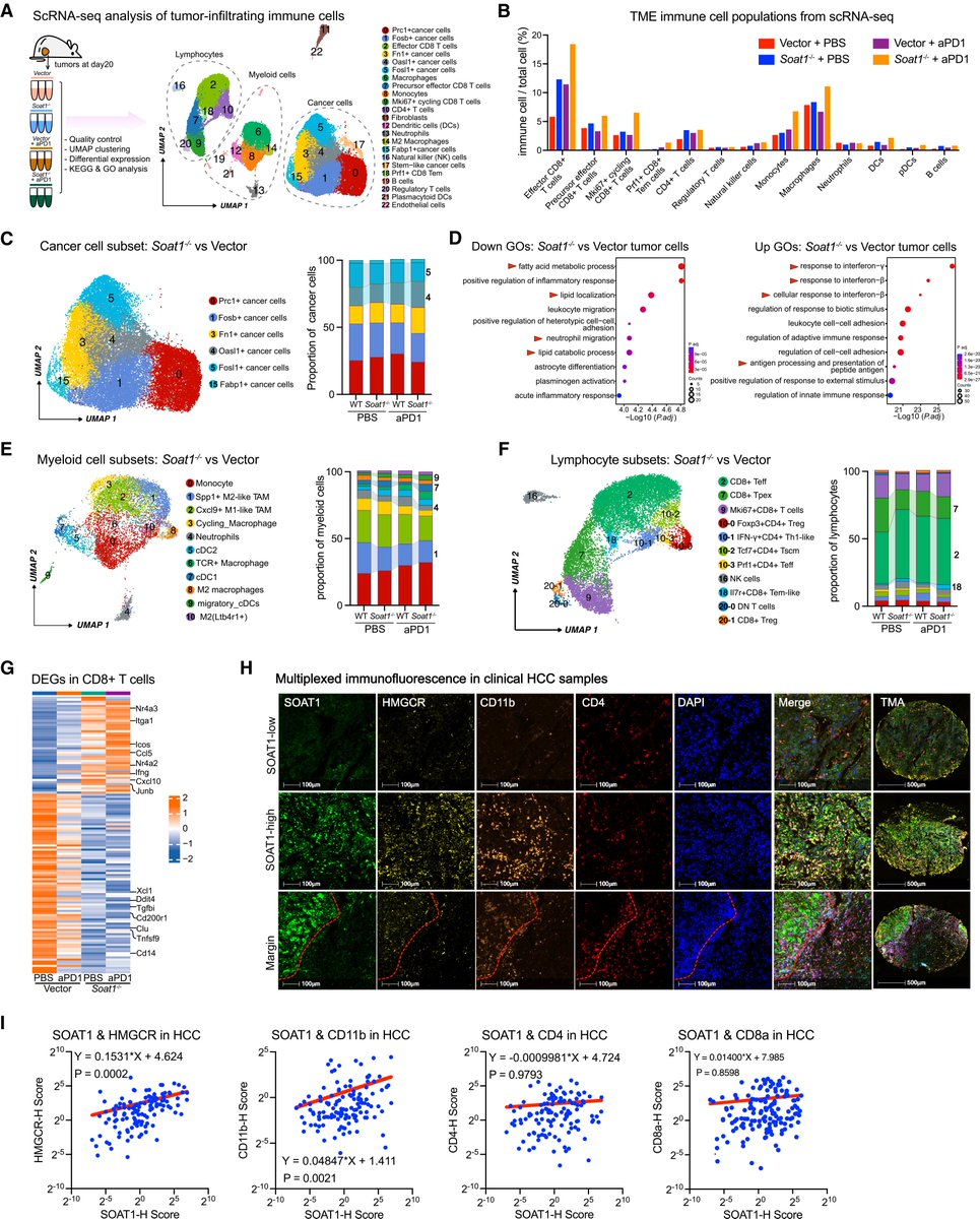Waggoner Lab tweet media