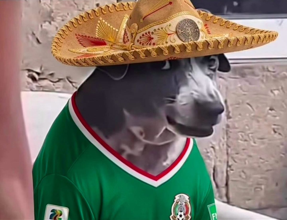 ay__equis's tweet photo. ¿Le ponemos salsa inglesa a su michelada?
Yo: https://t.co/D8QIYCasZB