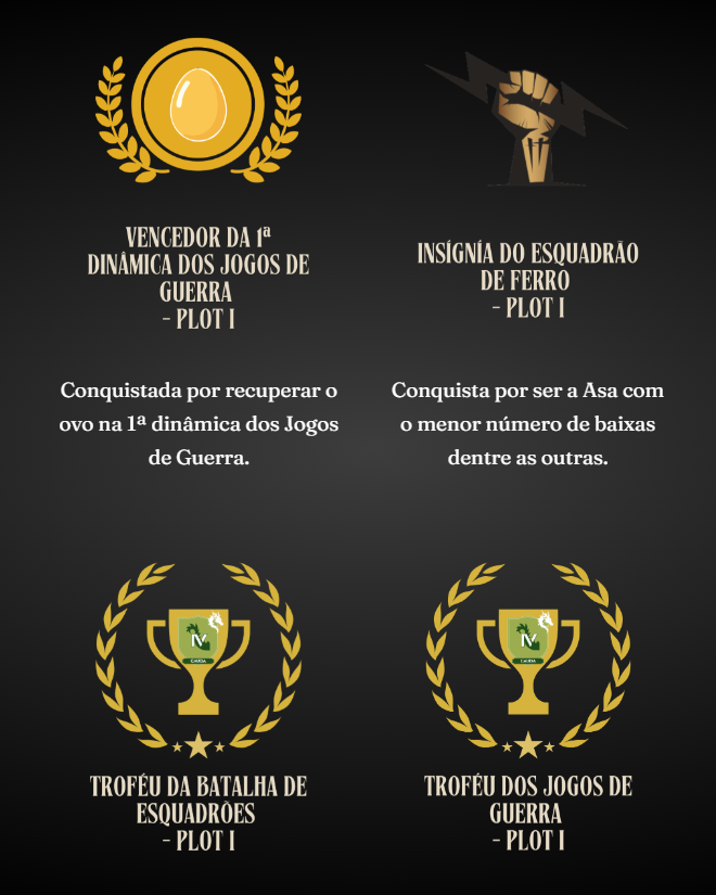 basgiathrpg's tweet photo. inclusive alguém derruba a quarta asa pf https://t.co/D5SECpsG0V