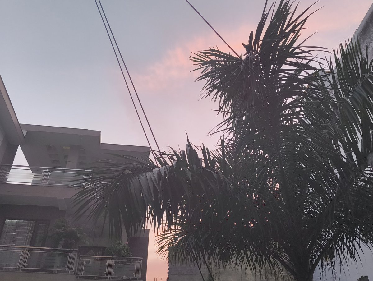 simsam1208's tweet photo. Blushy sky😳😭 https://t.co/aDkRTxEoSt