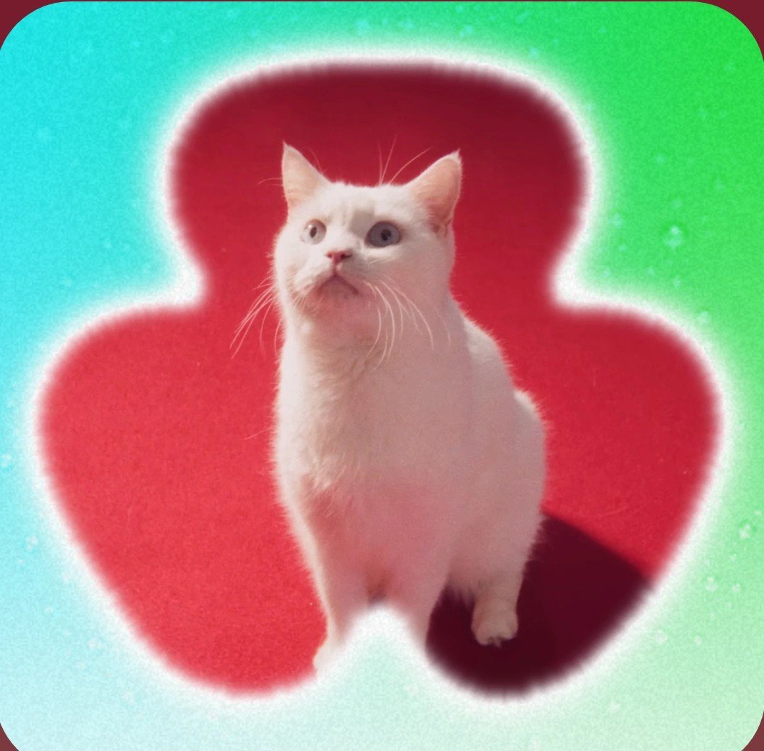 fromis_cats's tweet photo. #NewProfilePhoto https://t.co/dYIEOCNlO1
