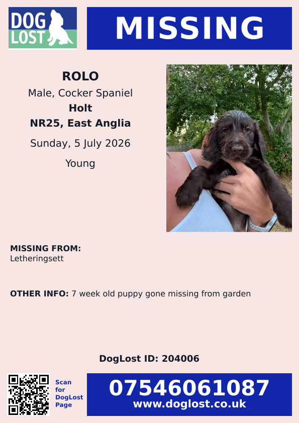 millypod1's tweet photo. 🆘5 JULY 2026 #Lost Rolo #ScanMe
7 WEEK OLD PUPPY MISSING FROM GARDEN 
Liver &amp; White BiB Cocker Spaniel Male
#Letheringsett #Holt #Norfolk #NR25
https://t.co/Us55G62M4b https://t.co/2U0jR8srTL