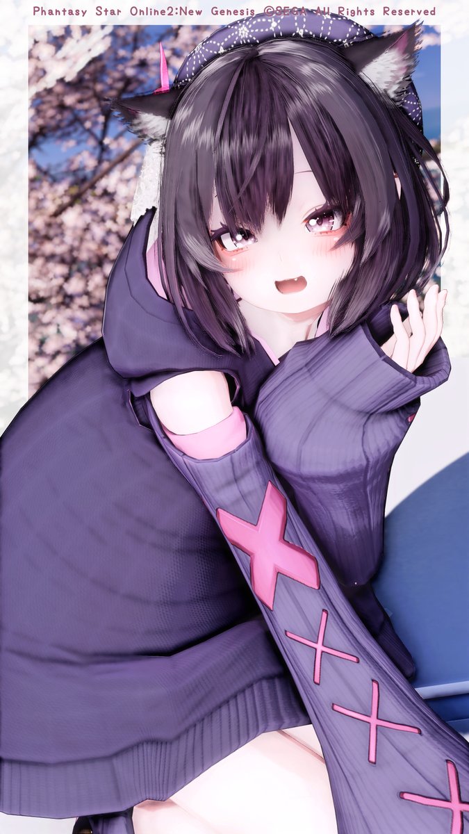 夢ネコ様分　　今夜は一緒に　SSP PSA10 PSO2NGS_SS おはようございます🐈‍⬛