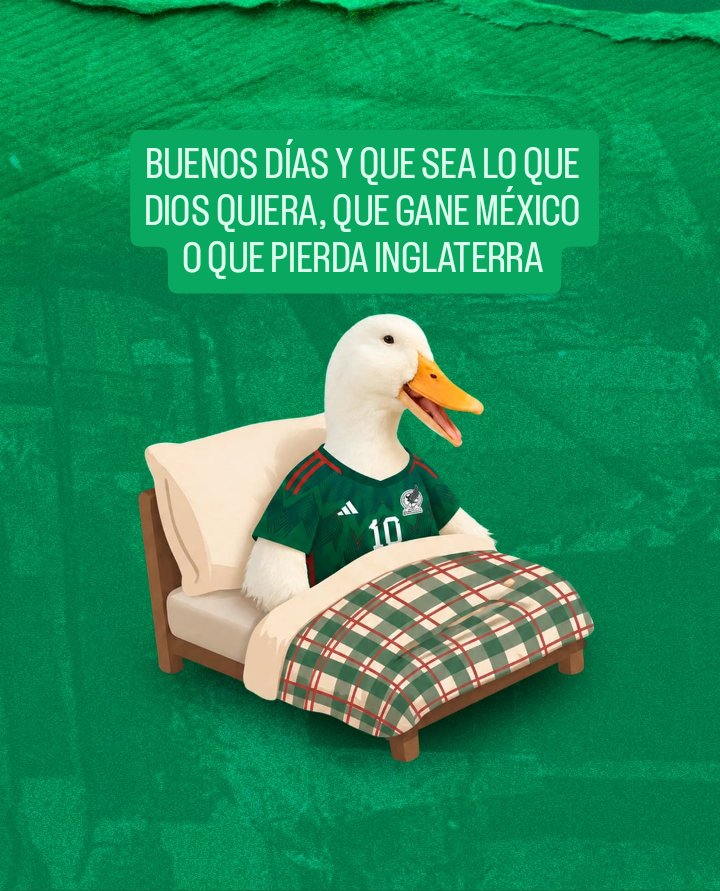 vanessaroib's tweet photo. 🇲🇽 🙏🏻❤️ https://t.co/BGR2wOTgYP