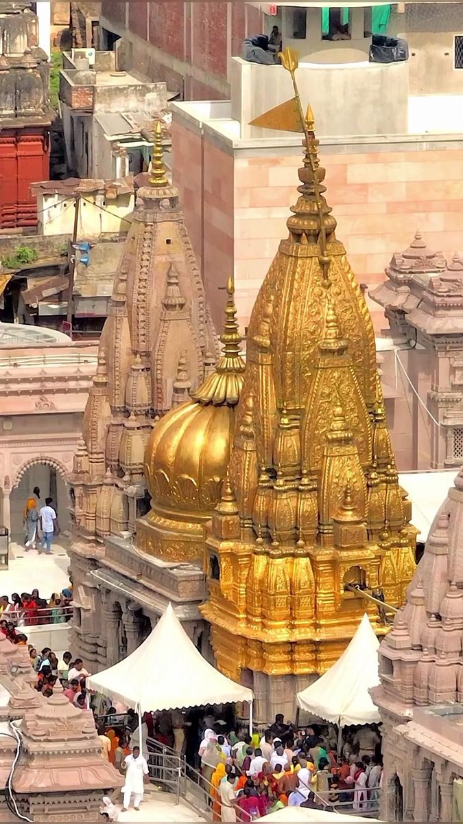singhc5191's tweet photo. ब्रह्मांड के स्वामी श्री काशी विश्वेश्वर नाथ तपोभूमि के दिव्य दर्शन...!

सानन्दमानन्दवने वसन्तमानन्दकन्दं हतपापवृन्दम्।
वाराणसीनाथमनाथनाथं श्रीविश्वनाथं शरणं प्रपद्ये।।

                   •।|ॐ नमः शिवाय|।•
                          🔥🙏🔱 https://t.co/96qOpCZleN