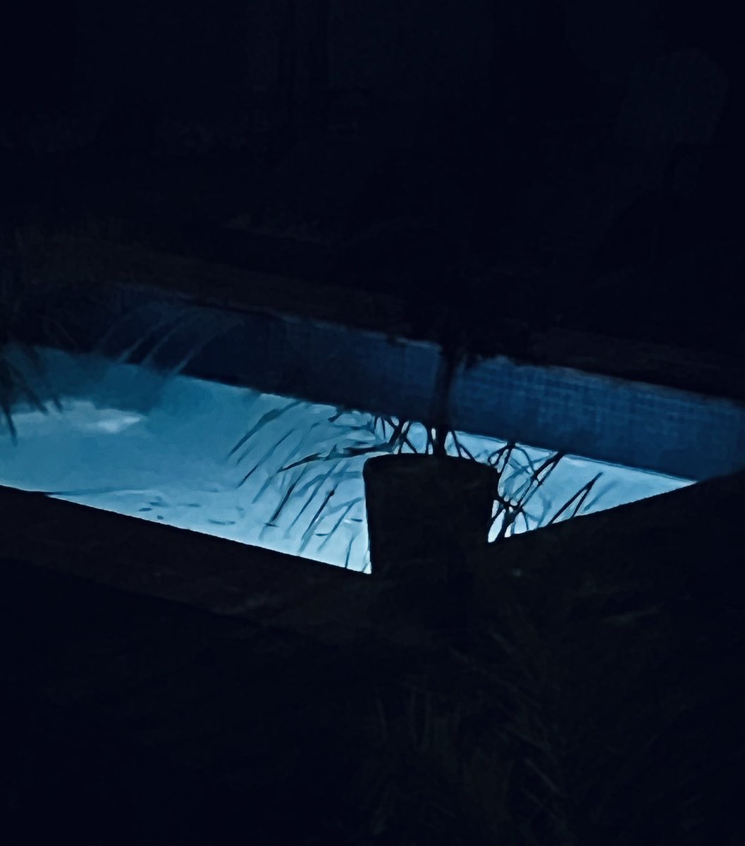 nosiirskiGio's tweet photo. About to go swim with my brothers!!!! BTW my mermaid skills have improved -I can do a proper body roll and a dolphin kick now 🐬💦 🧜
#nightswims
#iamamermaid
#siblingbondingtime https://t.co/M1EkGFr27r
