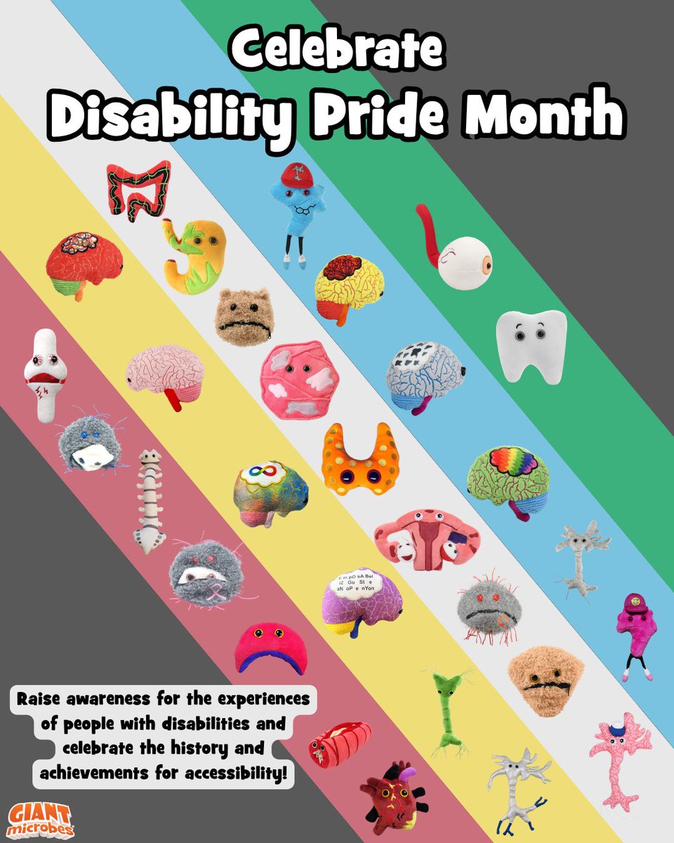 GIANTmicrobes's tweet photo. July is Disability Pride Month ♥️💛🤍🩵💚🩶

We're proud to support awareness for chronic illness, mental health, and visible &amp; invisible disabilities.

Shop: https://t.co/hJQMPmm4R2

#DisabilityPride #MentalHealthMatters #GIANTmicrobes https://t.co/CUMi5p7peO