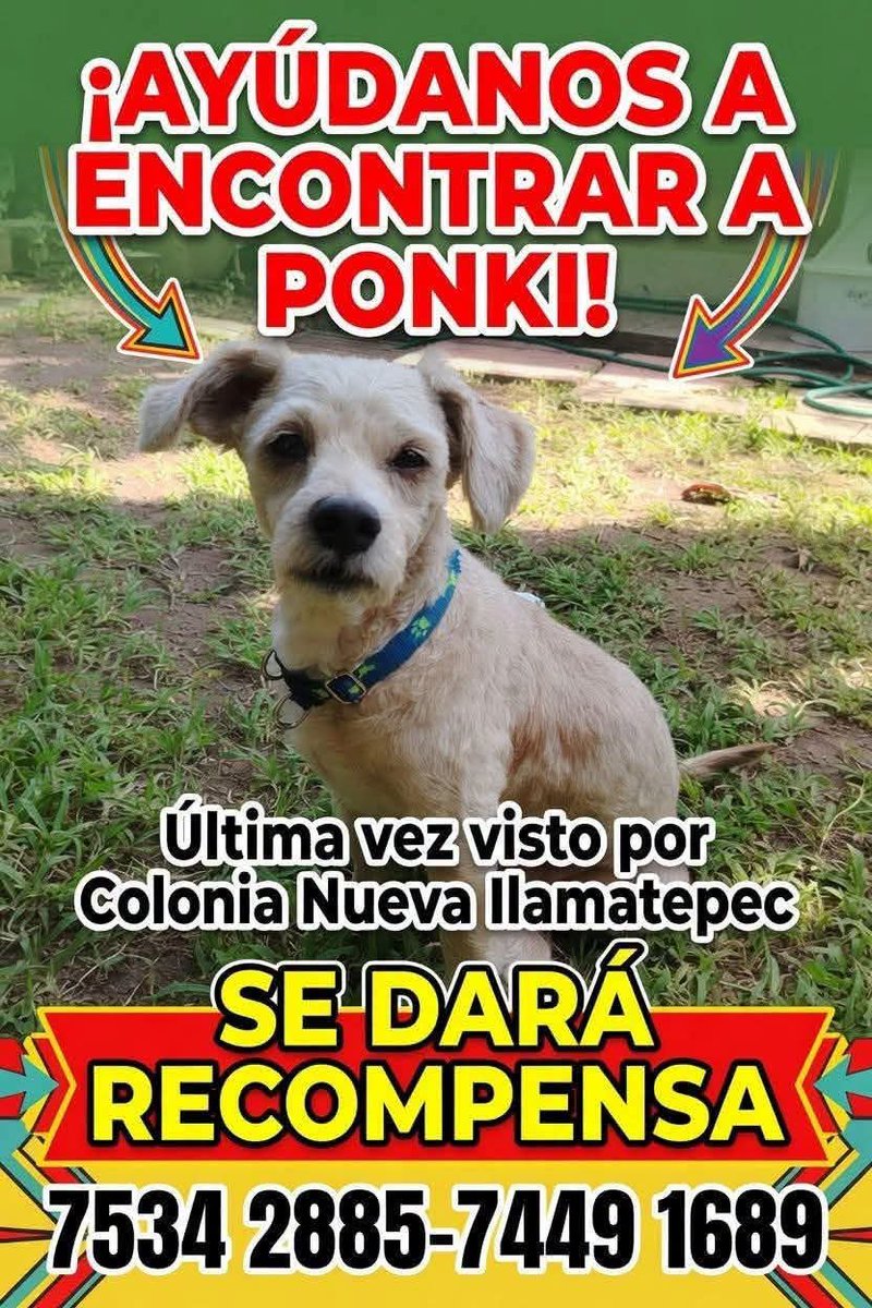 lyssitta's tweet photo. SERVICIO SOCIAL✅️
#SEBUSCA 📣 
Santa Ana 📍 https://t.co/JiJVmN19aS