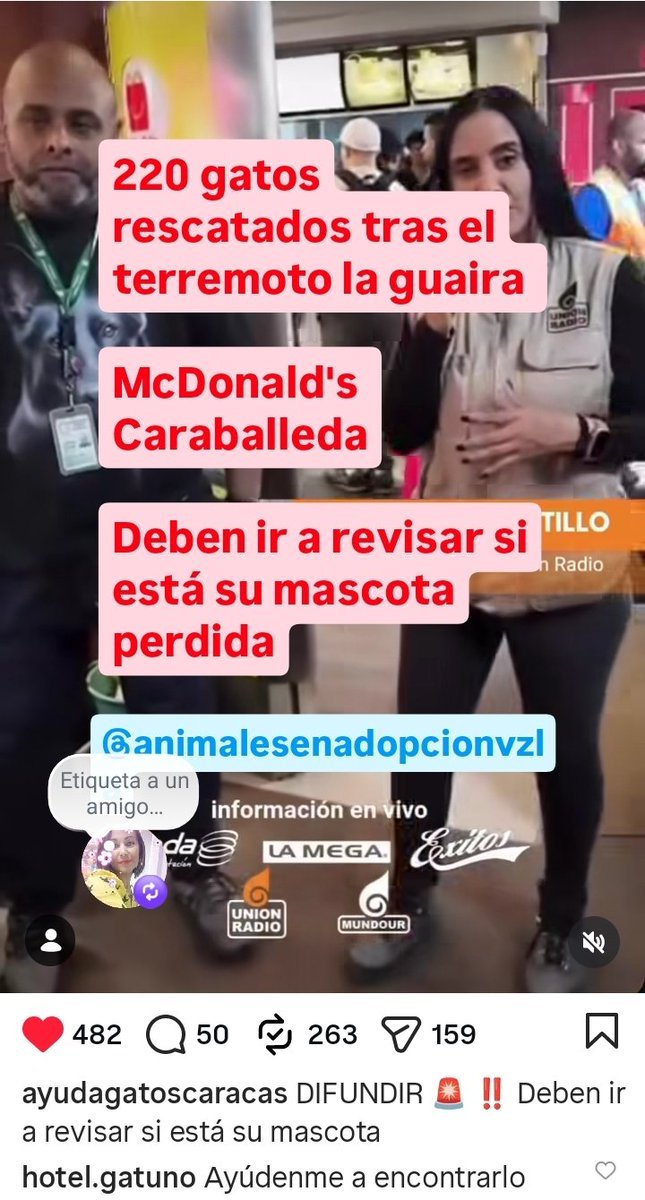 PerroUsuario's tweet photo. RP @carmarse: Vía @adoptaungatoccs en Instagram 
@PerroUsuario  por favor como siempre de tus buenos oficios para difundir. Gracias https://t.co/qAFFKWROVH