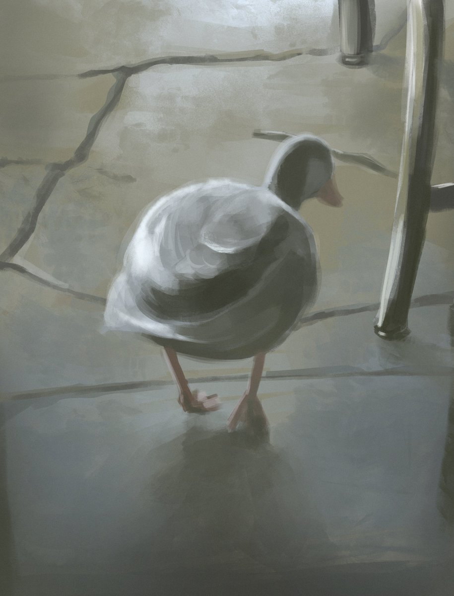 KurochaNai's tweet photo. duck but drawing https://t.co/bZNpxopcuI
