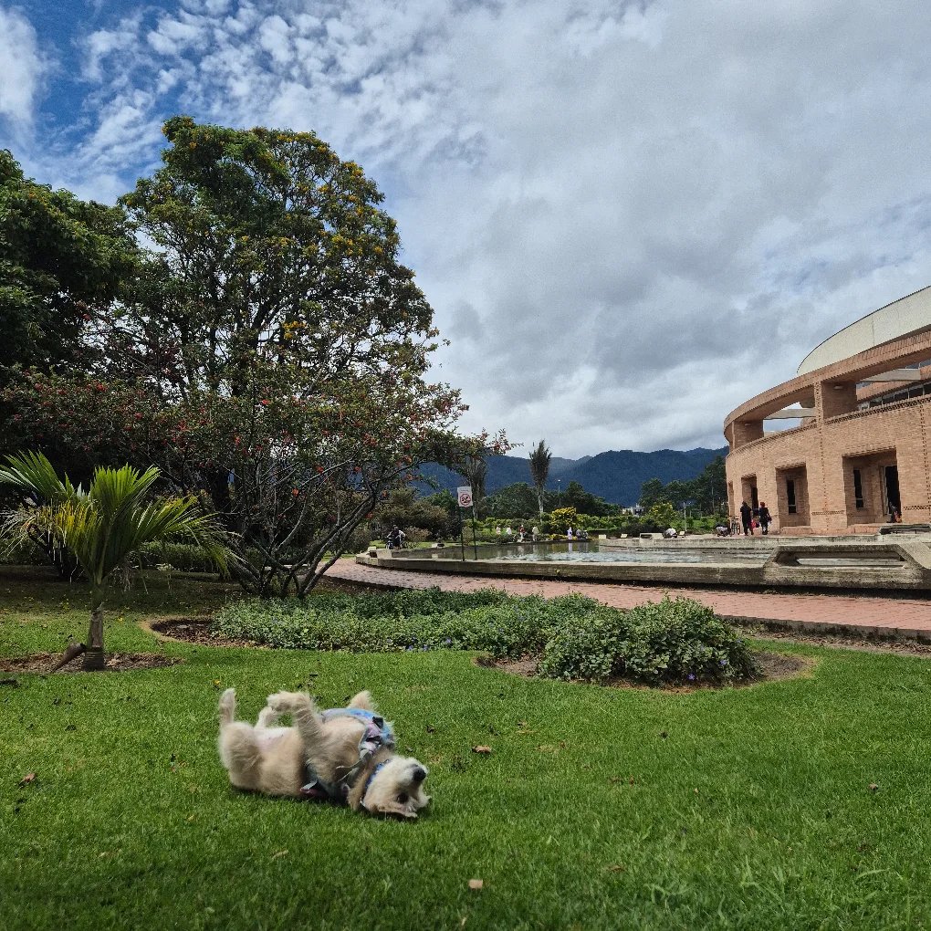 _eritrocito's tweet photo. Domingo. https://t.co/8gHubUwlm5