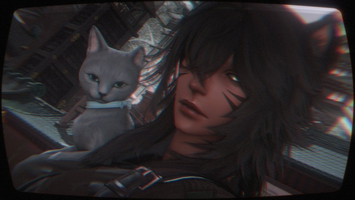 Reka_maru_'s tweet photo. Two strays🐈‍⬛ https://t.co/nUk1fjjzN8