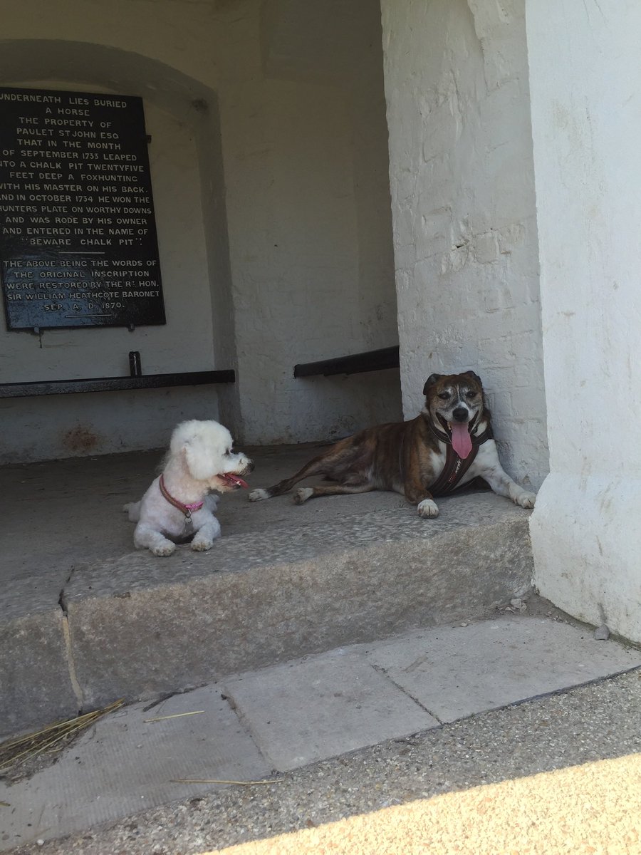 missokeme's tweet photo. Great resting spot for the dogs over the years. 🥰 https://t.co/HtSAXJMu0g