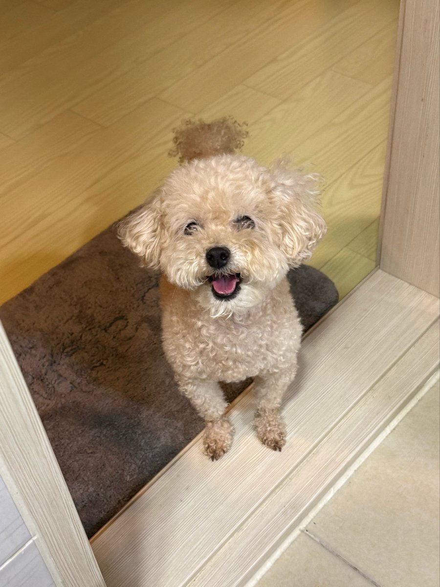 hiiamae's tweet photo. 쩨리 https://t.co/IRkgjhlYo5