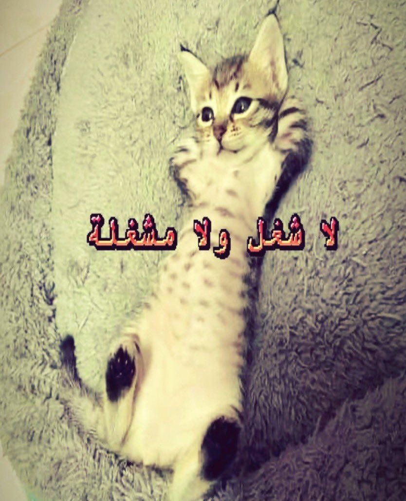 eomaoxi's tweet photo. هو طول الفيديو https://t.co/tAb6fFS8gU