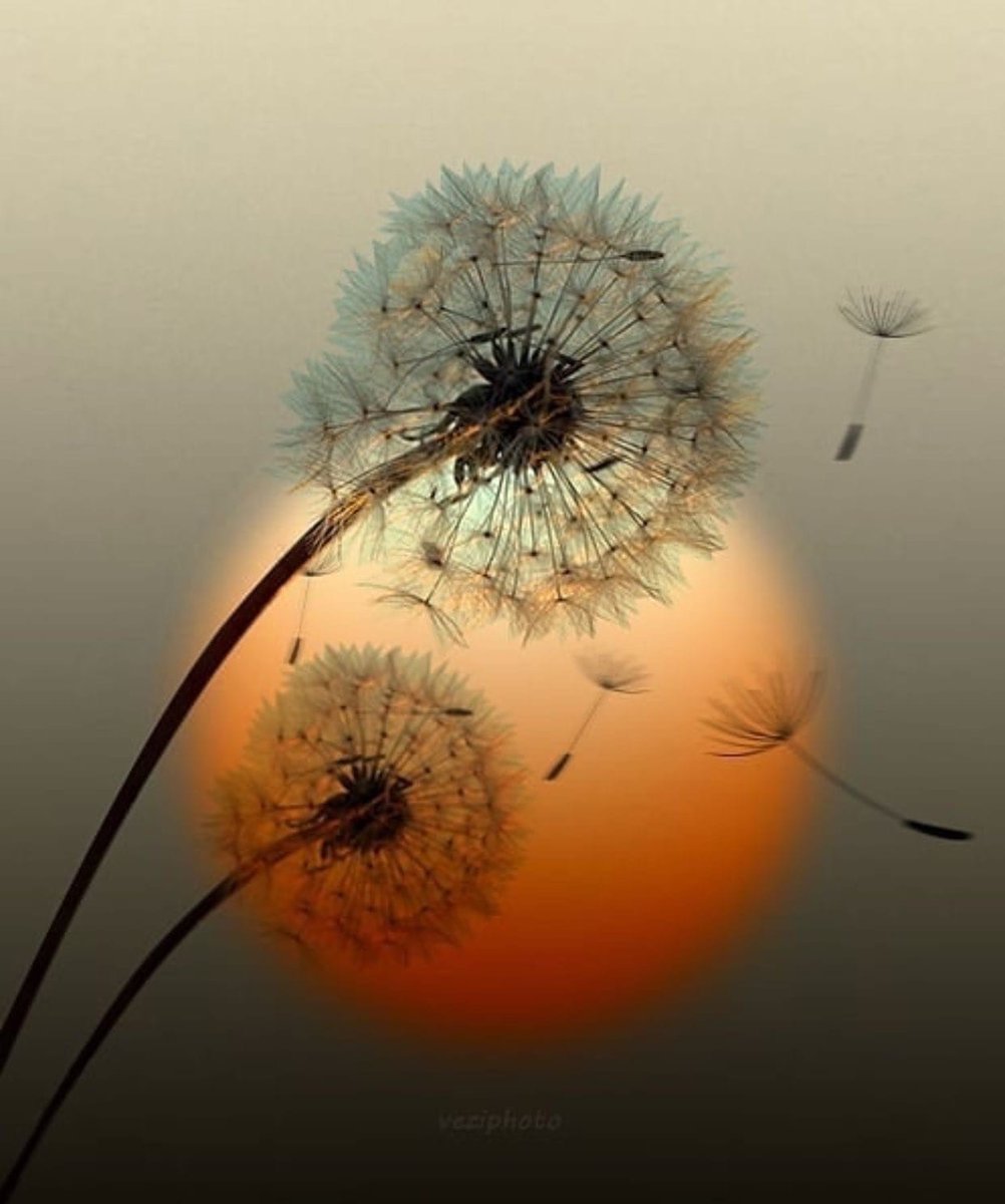 HombreEpilogado's tweet photo. La soledad del Yo,
El recuerdo del Tú,
La nostalgia del Nosotros,
La ausencia del Verbo,
La insignificancia del Sustantivo, 
La inutilidad del Adjetivo

🖊️Luc.
📷Web. https://t.co/pRvNOL4CRX
